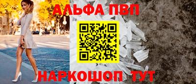 стаф Берёзовский
