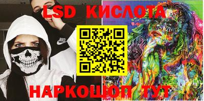 стаф Берёзовский