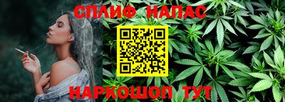 стаф Берёзовский