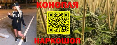 стаф Берёзовский