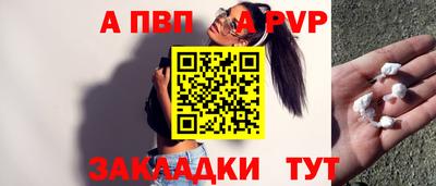 стаф Берёзовский