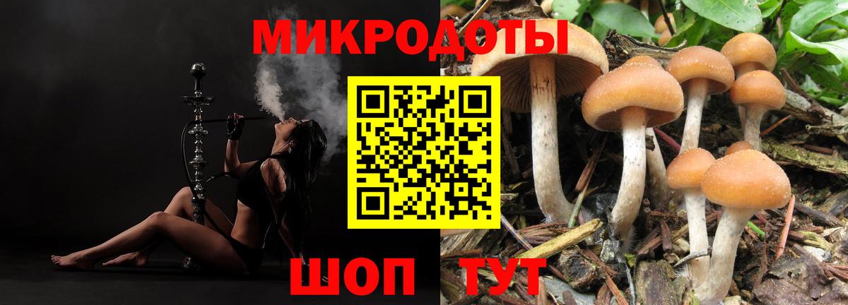 Галлюциногенные грибы Magic Shrooms  Псилоцибиновые грибы Psilocybine cubensis  Вход с VPN  сколько стоит  Киселёвск 